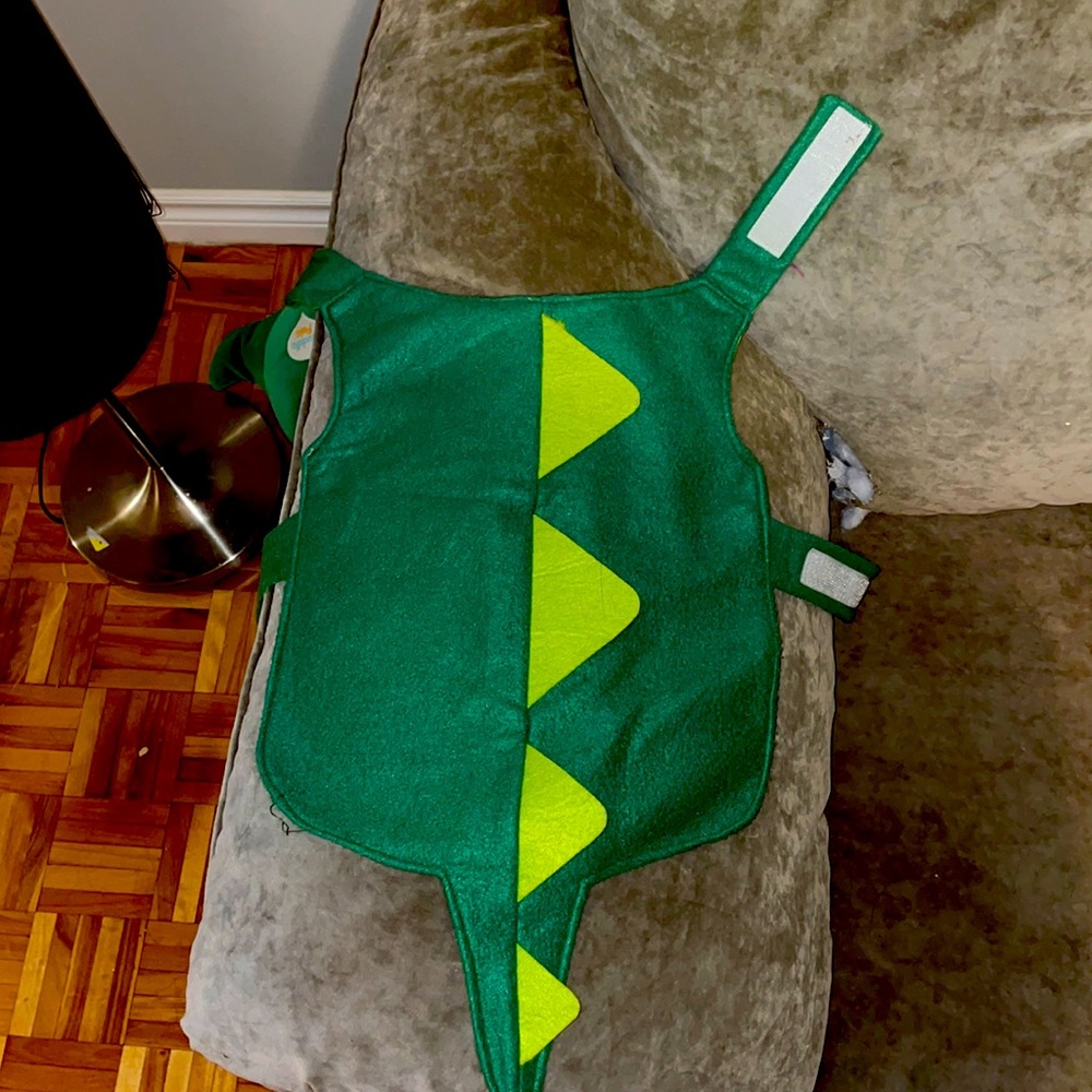 Dino dog suit